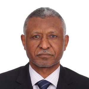 Nasreldin Hag Elamin